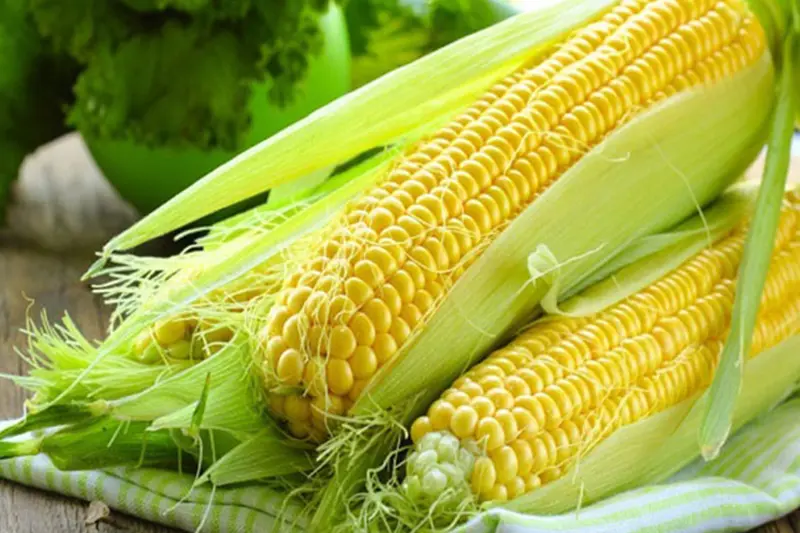 Bột ăn dặm Hipp bắp non AL2840 - hộp 200g