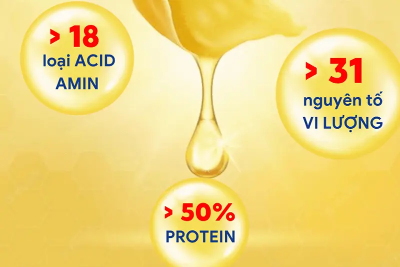 Yến Thiên Triều đông trùng hạ thảo - lốc (8 lọ*70ml)