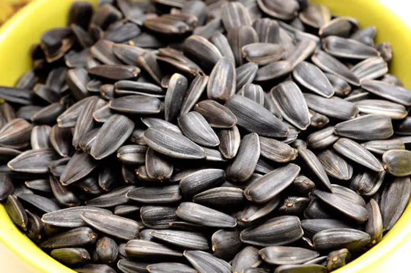 Hướng dương Tân Việt - gói 450g