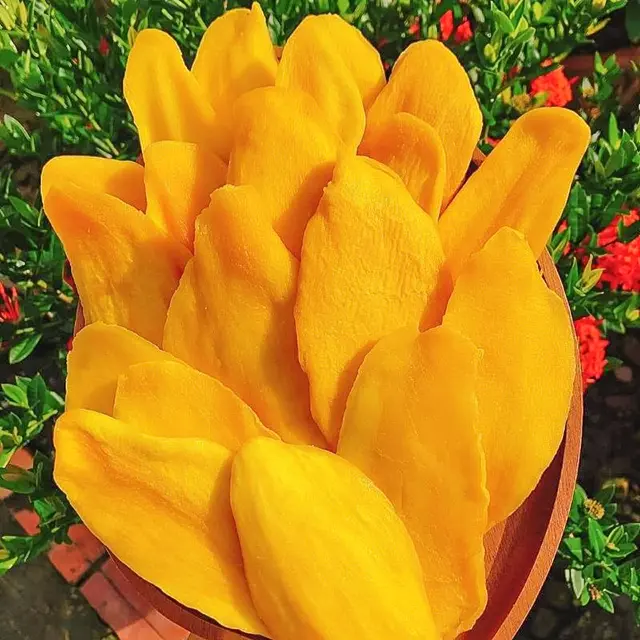 Xoài sấy dẻo Đức Hiếu - gói 400g