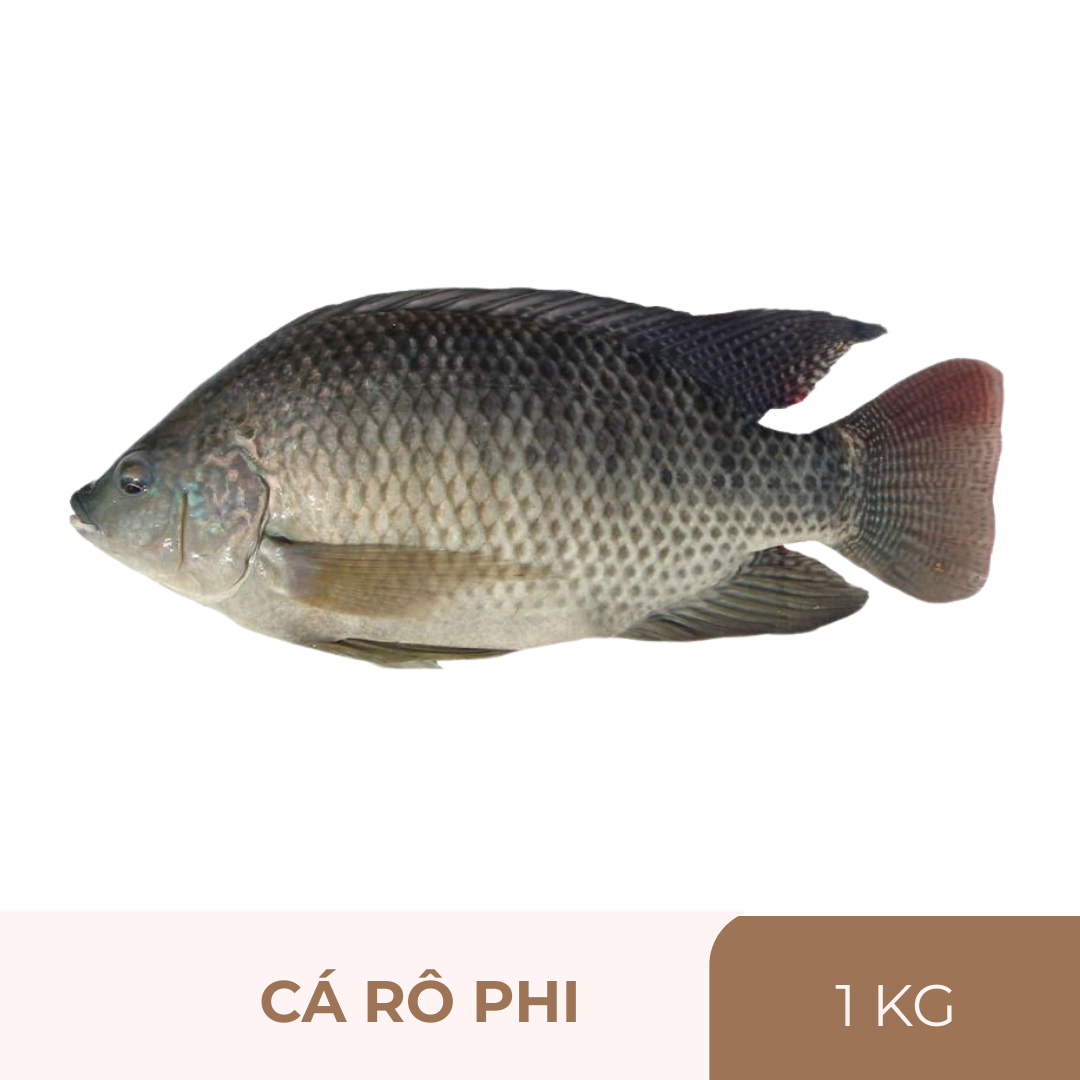 Cá rô phi cả con - 1kg