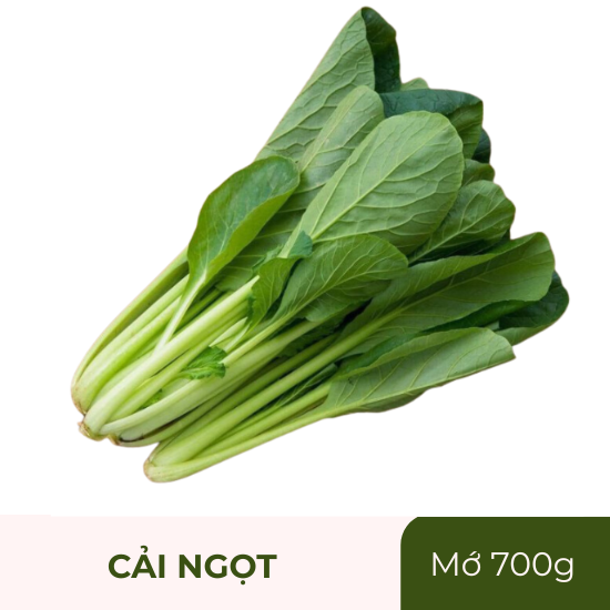 Cải ngọt - mớ