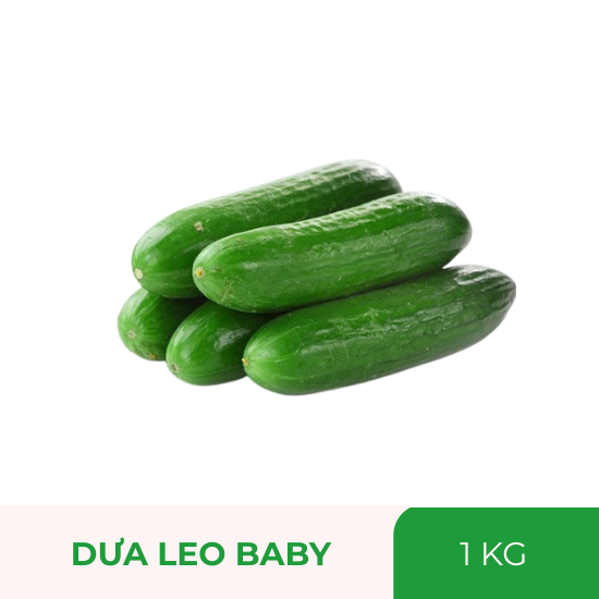 Dưa leo baby -1kg