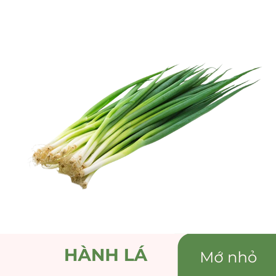 Hành lá - mớ nhỏ
