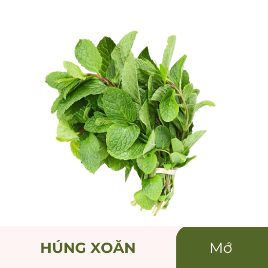 Rau húng xoăn- húng lủi - mớ