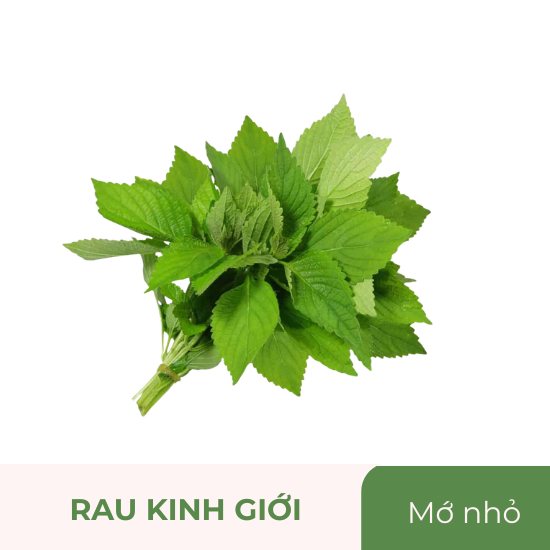 Rau kinh giới - mớ nhỏ