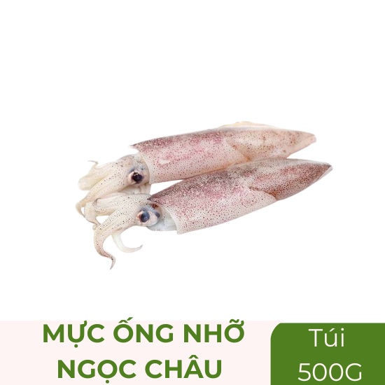 Mực ống nhỡ Ngọc Châu - túi 500g