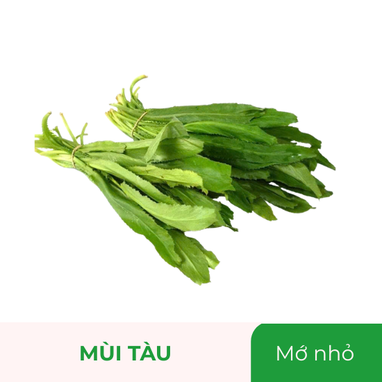 Mùi tàu - mớ nhỏ