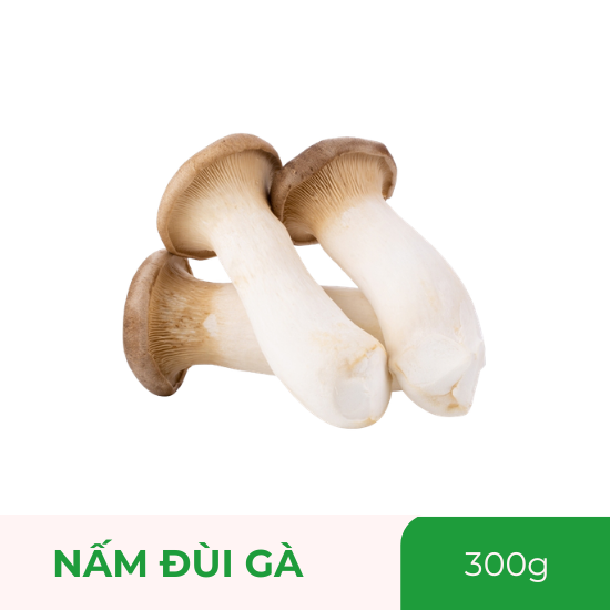 Nấm đùi gà - 300g