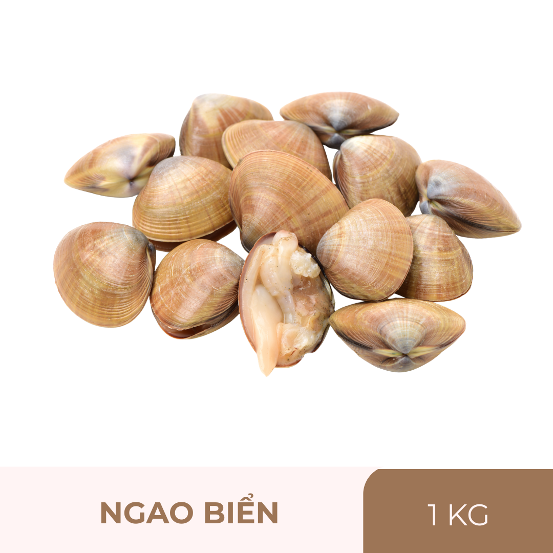 Ngao biển - 1kg