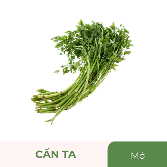 Rau cần ta - mớ