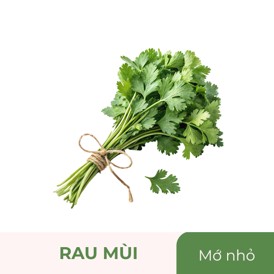 Rau mùi - mớ nhỏ