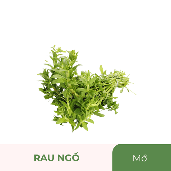 Rau ngổ - mớ
