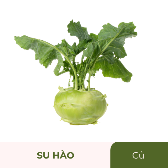 Su hào - củ