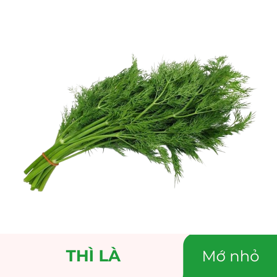 Thì là - mớ nhỏ