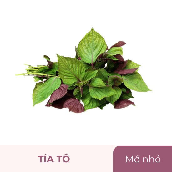 Tía tô - mớ nhỏ